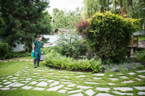 Best Pest Removal Services  in Carol Stream, IL