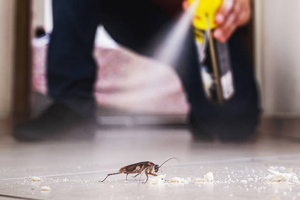 Best Pest Control Near Me  in Carol Stream, IL