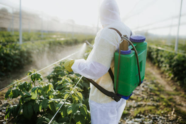 Best Emergency Pest Control  in Carol Stream, IL